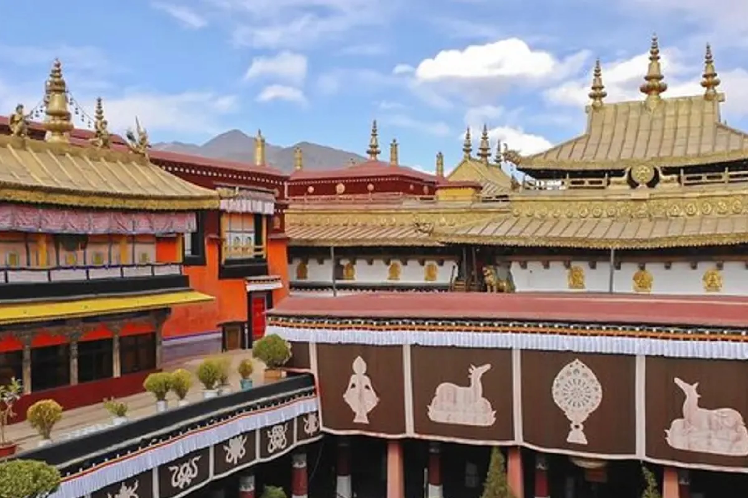 Private Day Tour of Potala Palace and Jokhang Temple in Lhasa Including Lunch